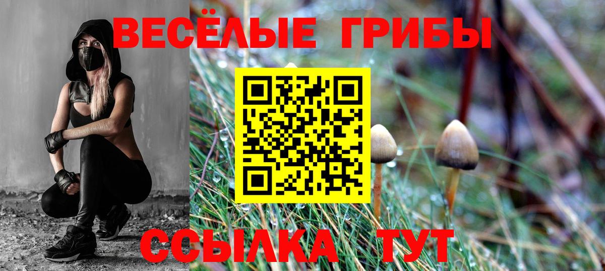Галлюциногенные грибы Cubensis Кирово-Чепецк