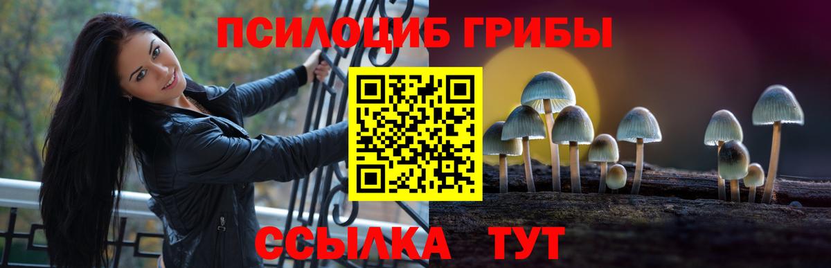 Кирово-Чепецк  Псилоцибиновые грибы Magic Shrooms  Вход с VPN 